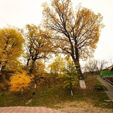 Stejarul Lui Andrei Izvoarele (Prahova)