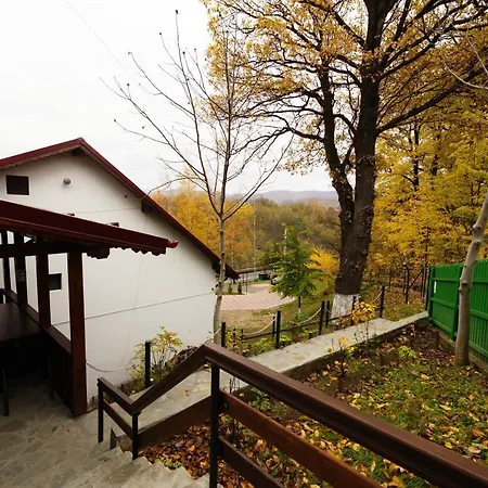 Stejarul Lui Andrei 3*